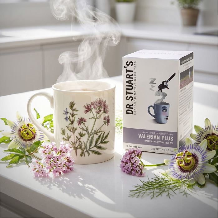 Dr Stuart's Valerian Plus